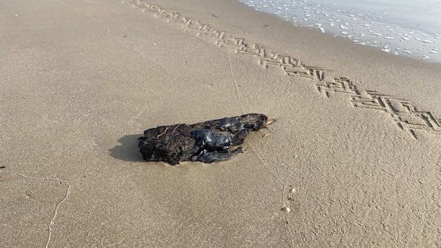Localizan manchas de hidrocarburos en Playa Miramar, Tamaulipas