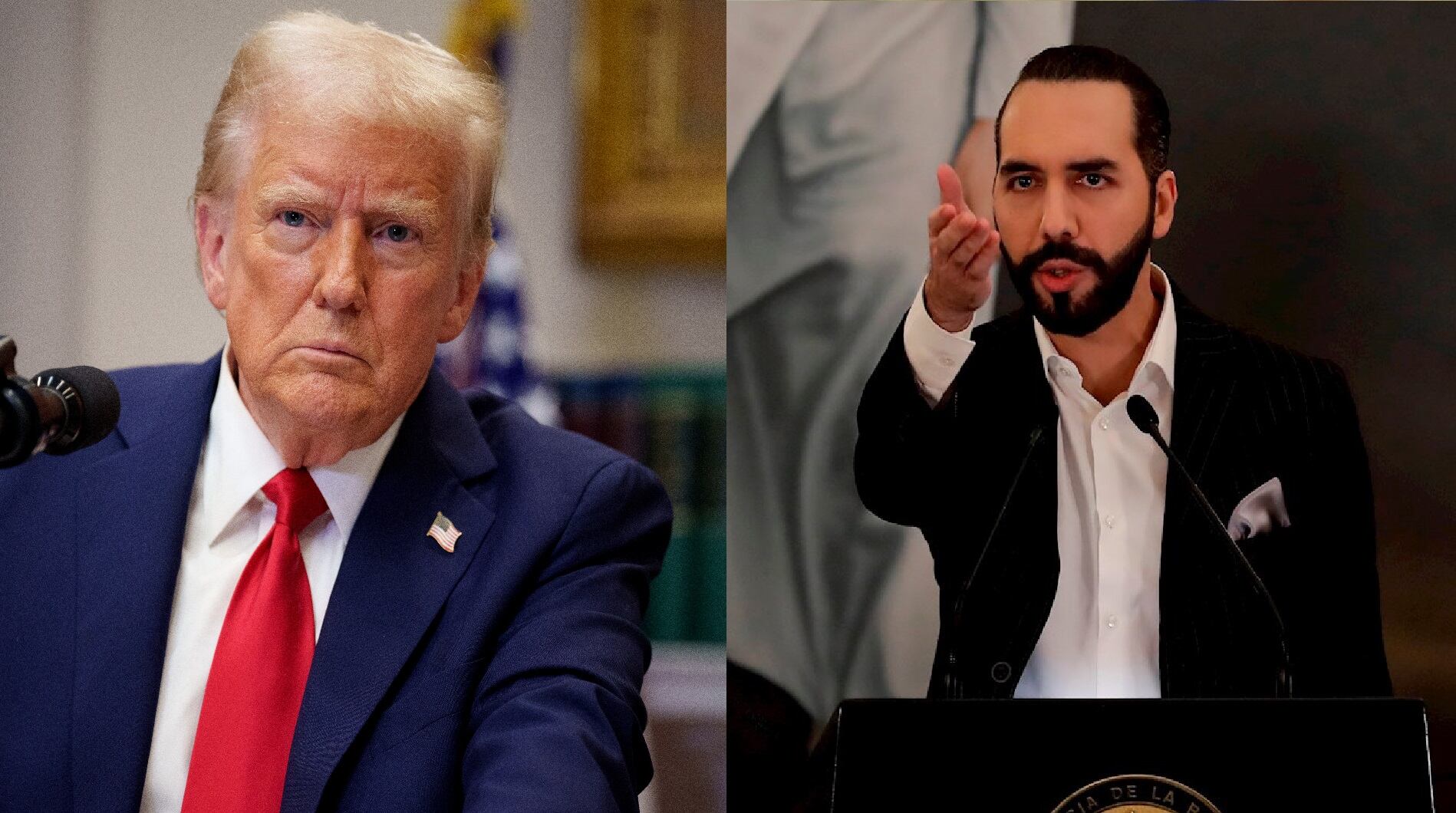 Donald Trump y Nayib Bukele