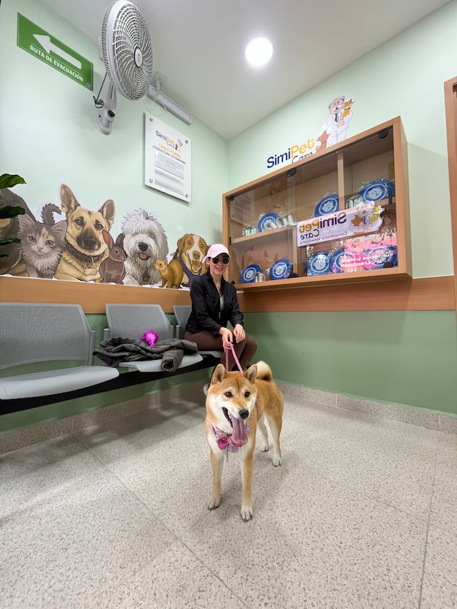 Simi Pet SimiPet Care del Dr. Simi: Precio de la consulta para perros, gatos y ...