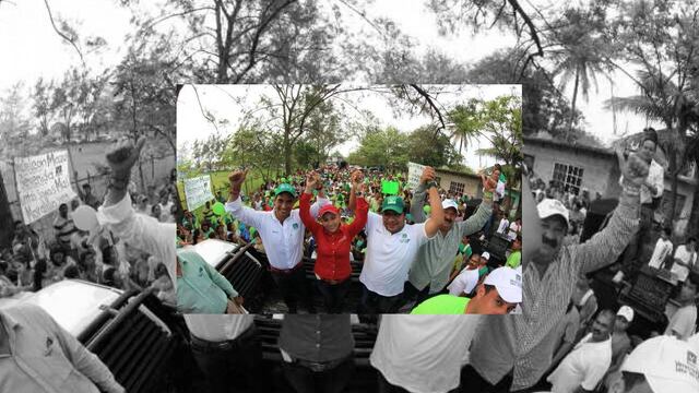 Toman protesta a comités municipales y distritales del PVEM en Veracruz