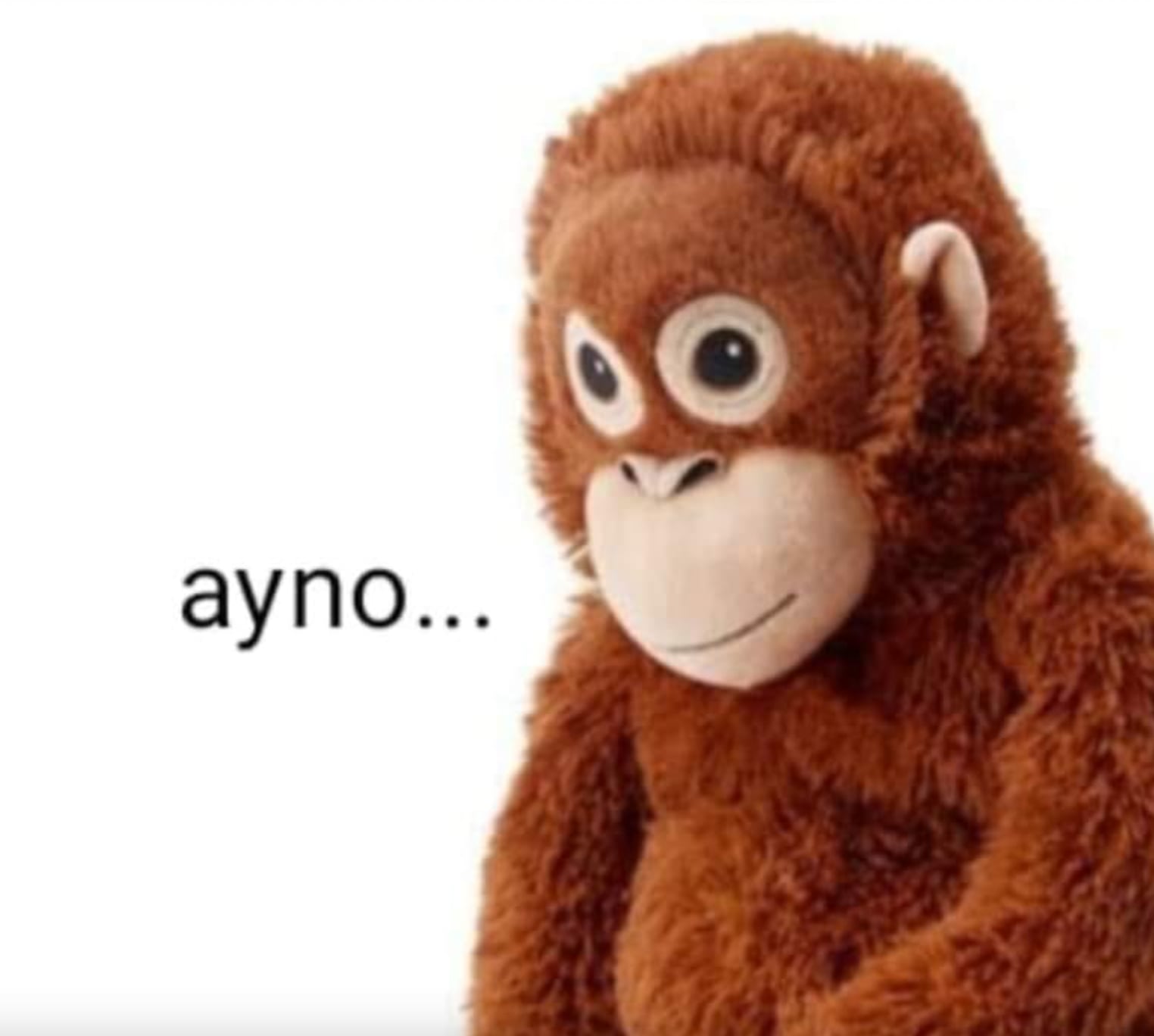 Meme del orangután 'Lupe'