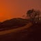 ¿Los incendios en Los Ángeles, California, fueron provocados? Reportan un detenido por incendio en Kenneth