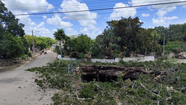 Socavón en cenote de Xócen, Yucatán