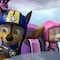 60 minutos de capítulos cortos de Paw Patrol con los mejores rescates de Skye en helicóptero para ver en YouTube y español por Día de la Fuerza Aérea Mexicana