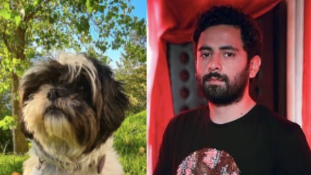 Sukinga, la mascota de Jonathan Meléndez, también fue asesinada