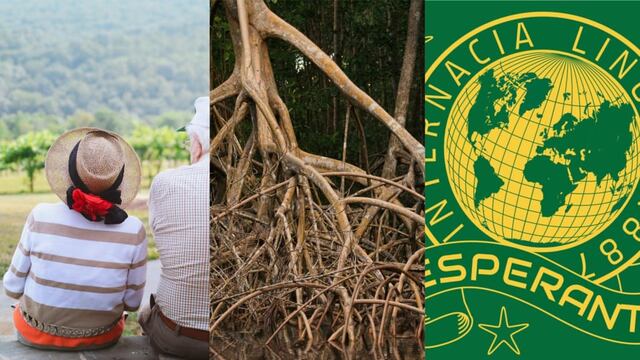 26 de julio se celebra el Día de los Abuelos, el Día de la defensa de los manglares y el Día Internacional del Esperanto