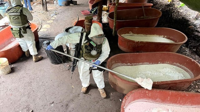 El Gabinete de Seguridad inhabilitó varios narcolaboratorios, uno de ellos en Michoacán