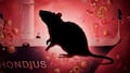 OMS confirma el fin del brote de hantavirus en el crucero MV Hondius