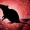 OMS confirma el fin del brote de hantavirus en el crucero MV Hondius