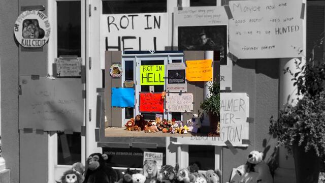 “Púdrete en el infierno”: Manifestantes dejan mensajes al asesino del león Cecil