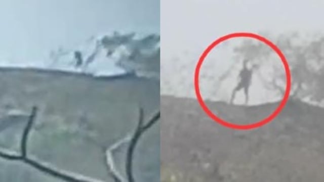 gigante en Tuxtla Gutiérrez