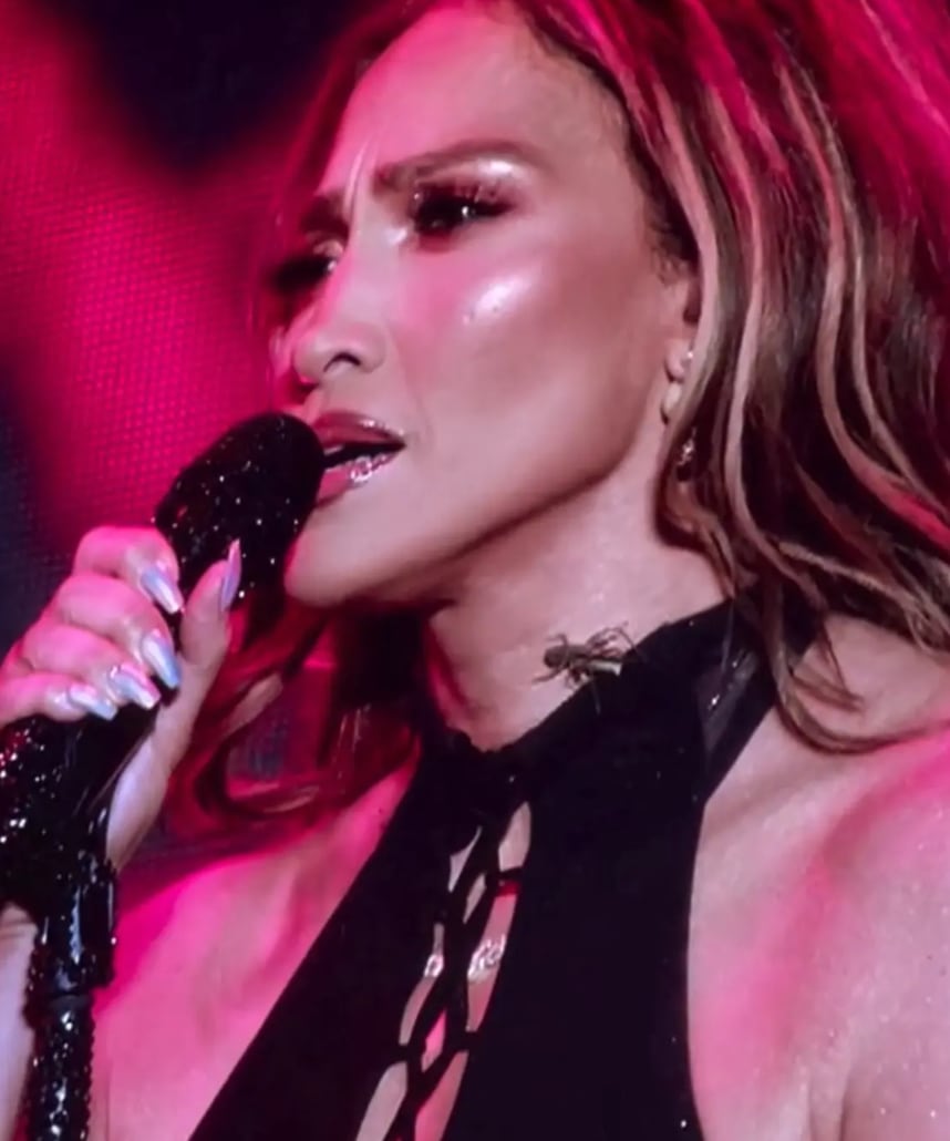 Un grillo se le subió a Jennifer Lopez en medio de su concierto