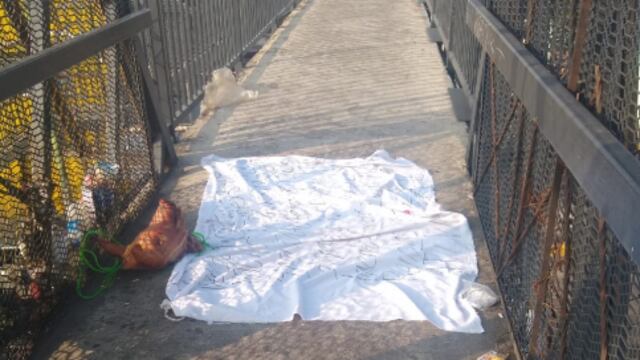 Cabeza de puerco con manta.