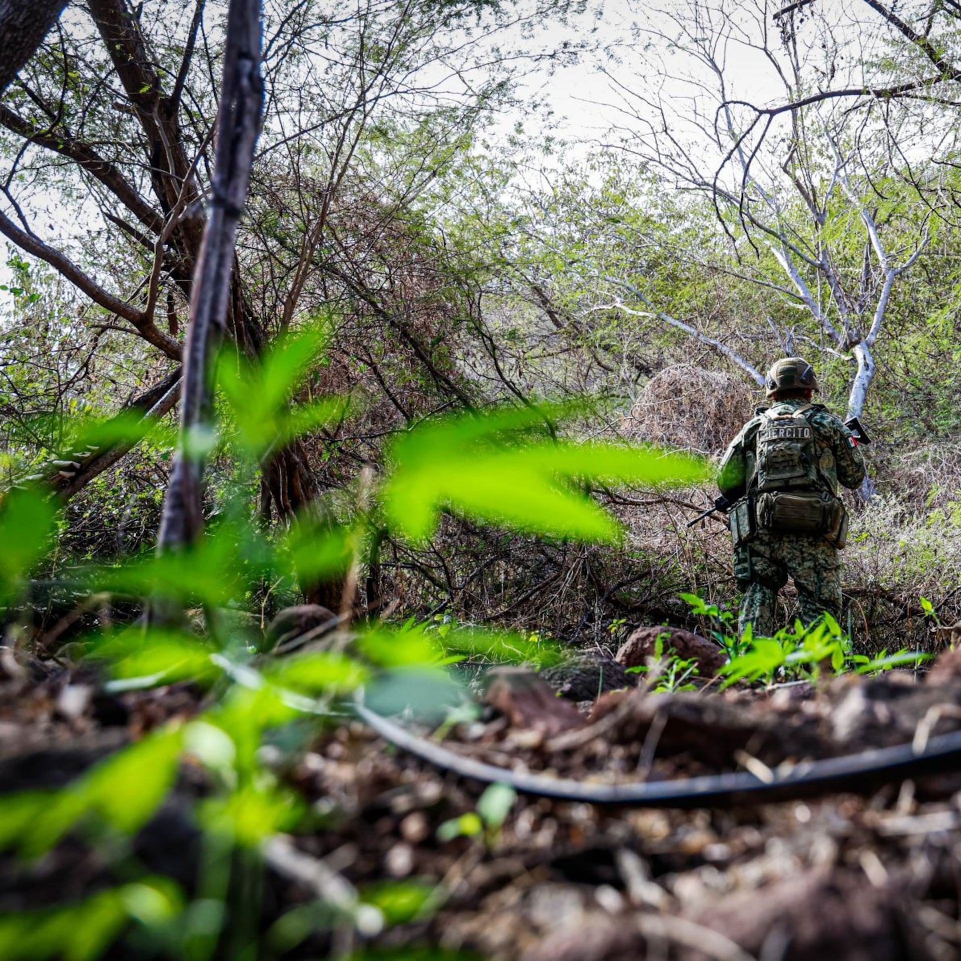 ¿Puede México replicar un modelo económico y de seguridad exitoso? Una respuesta incómoda pero necesaria