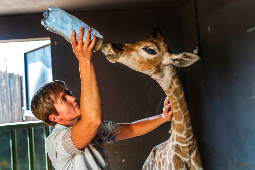 Una amistad inesperada.
