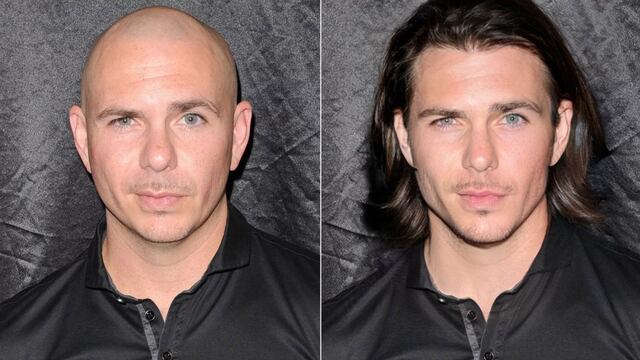 Pitbull con cabello largo