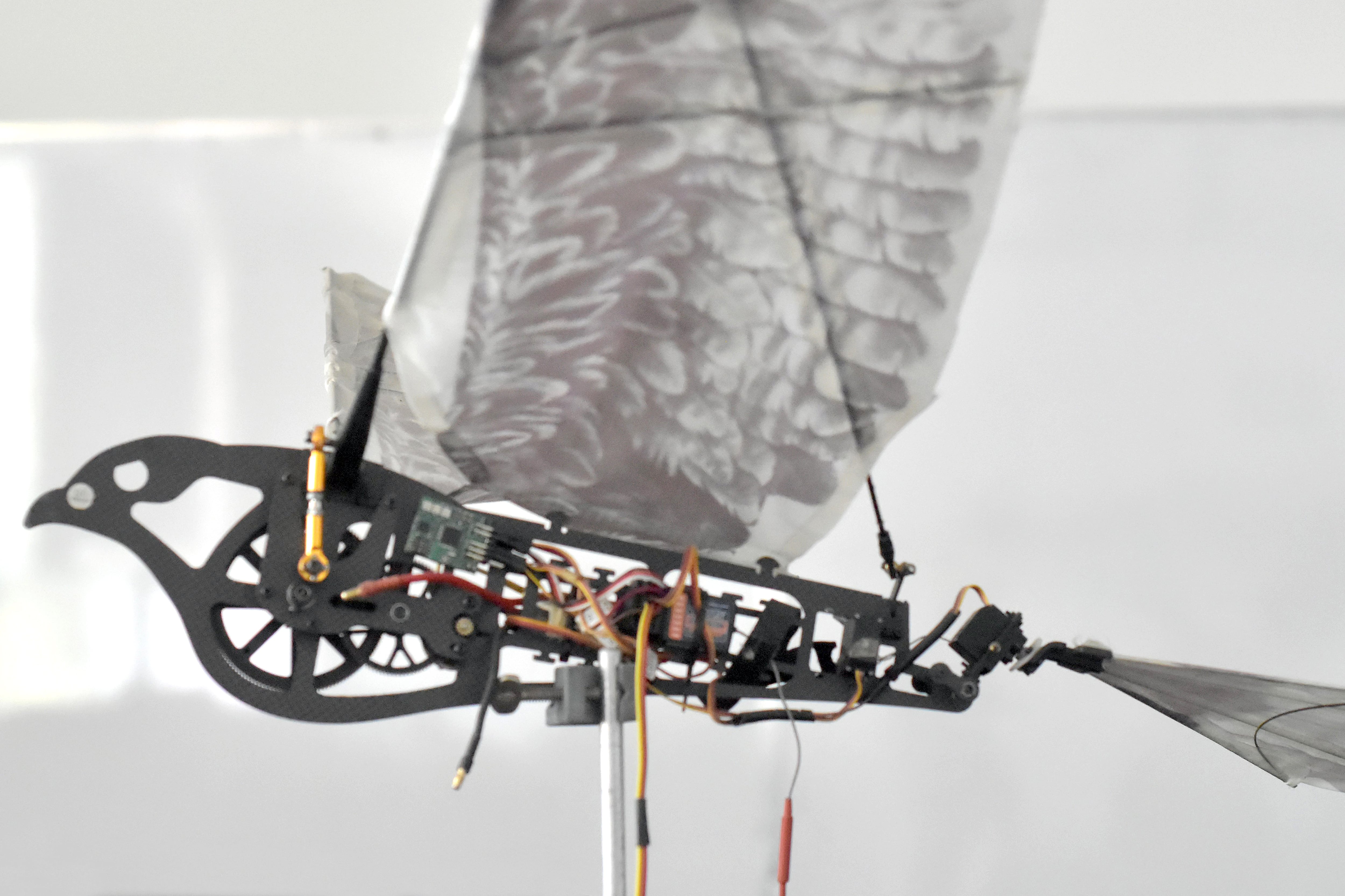 Olom-Lab de la BUAP: el nuevo centro de robótica y sistemas autónomos.