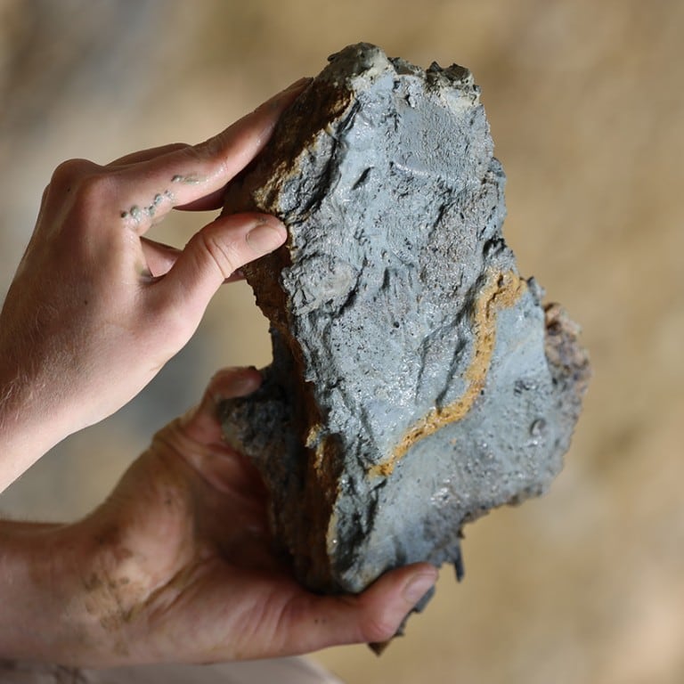 En Reino Unido, descubren fósiles de criaturas marinas