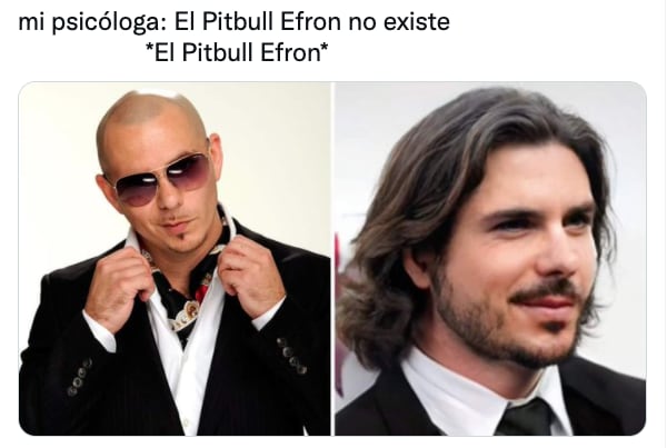 Meme de Pitbull con cabello largo