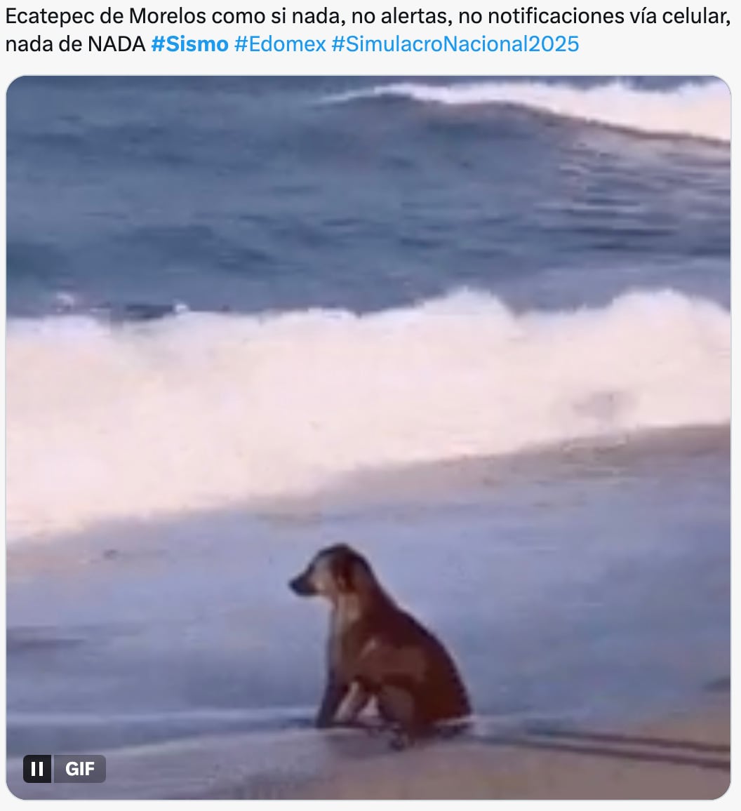 Memes del simulacro nacional 2025