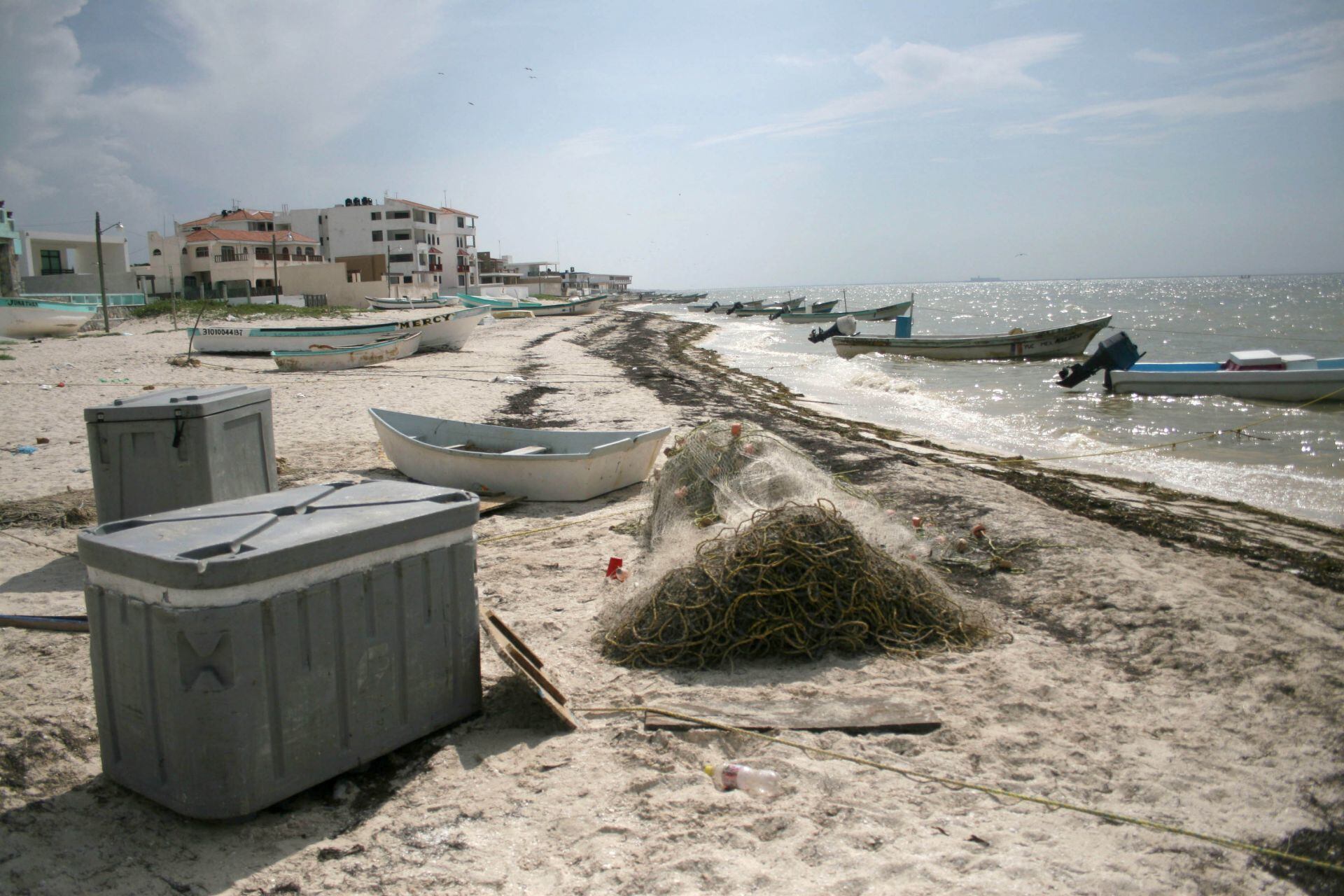 Marea Roja podría haber regresado a la costa del estado de Yucatán