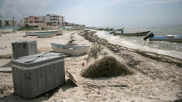 Marea roja en Yucatán (2005)