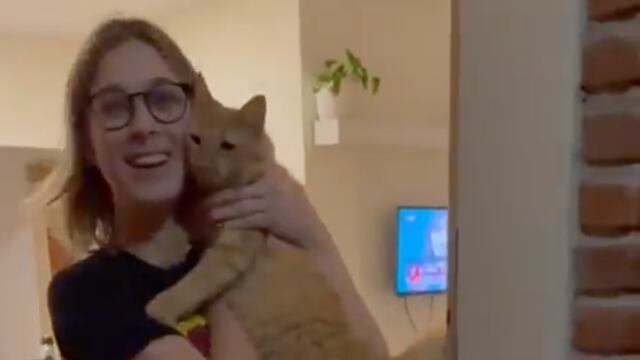 Gatito abre la puerta