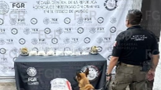 FGR asegura más de 5 kilos de metanfetamina en empresa de paquetería en Jalisco