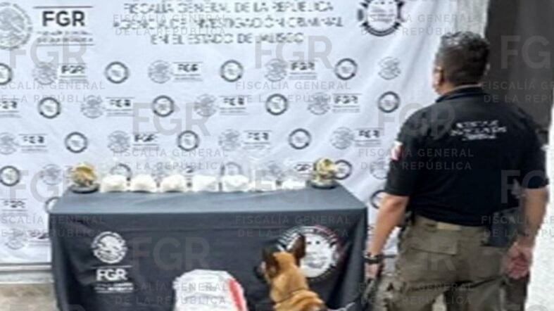 FGR asegura más de 5 kilos de metanfetamina en empresa de paquetería en Jalisco