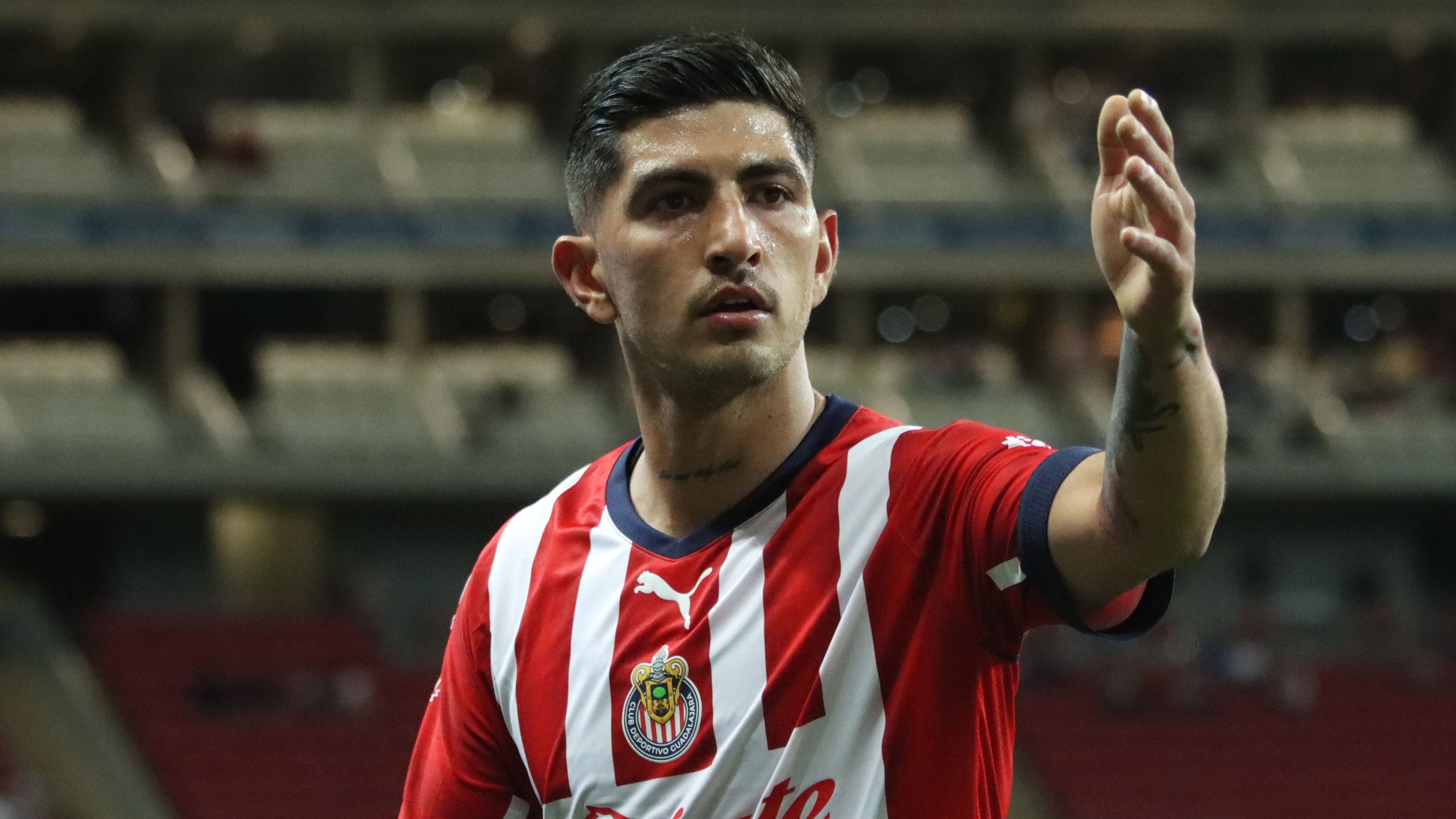 Pocho Guzmán