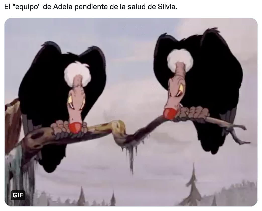 Memes de Adela Micha tras recuperación de Silvia Pinal