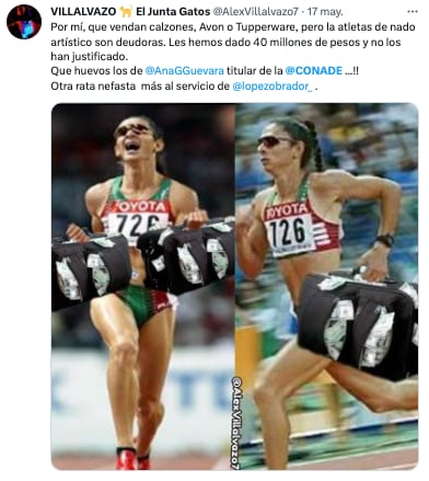 Memes de Ana Gabriela Guevara