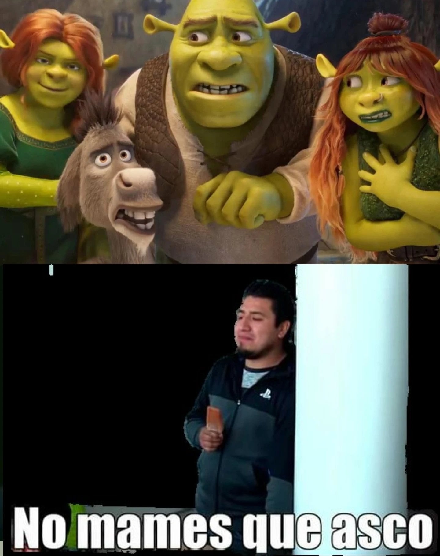 Usuarios comparan a Shrek 5 con Sonic Feo