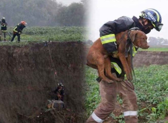 Héctor Hugo Pimentel, bombero