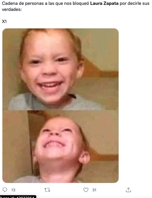 Memes de Laura Zapata y su pelea con las fans de Harry Styles
