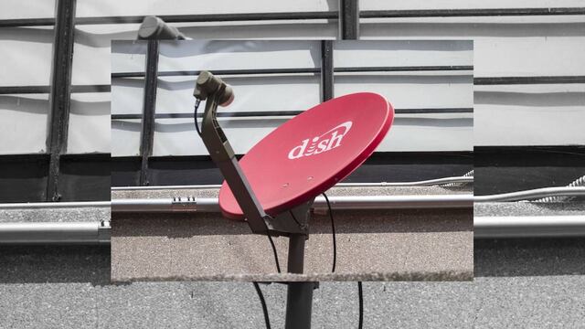 Es excesivo el pago a duopolio: Dish