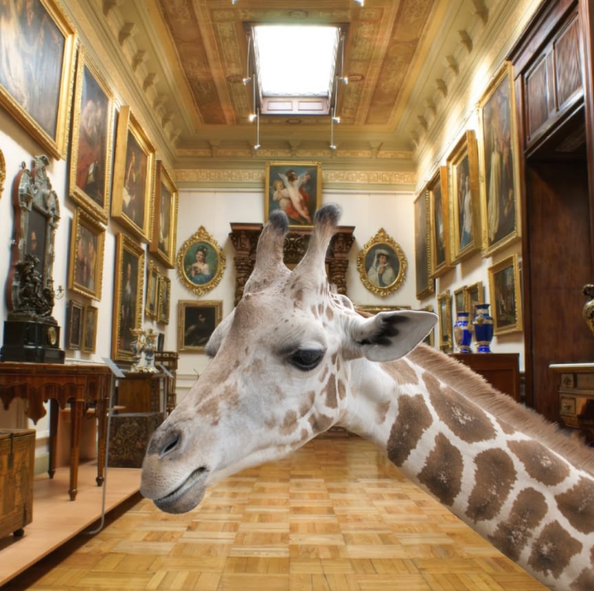 Memes de la Jirafa Benito