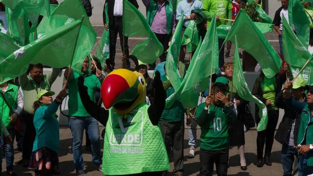 Simpatizantes del PVEM