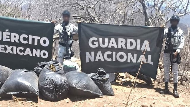 Decomisan 100 kilos de marihuana, armas y vehículos en operativos en Guerrero