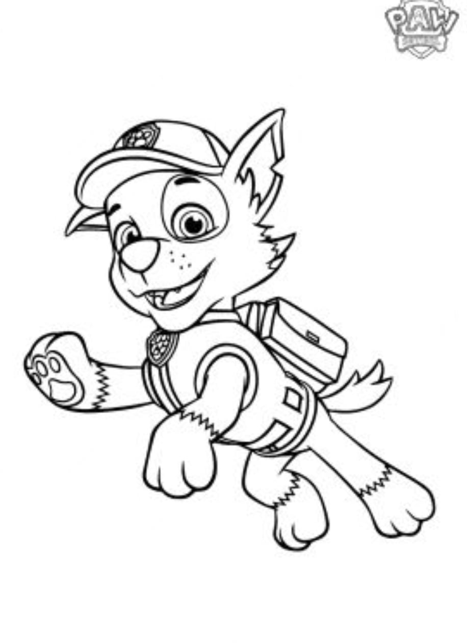 Rocky de Paw Patrol para colorear saltando