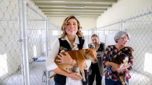 Baja California se consolida como líder nacional en protección animal