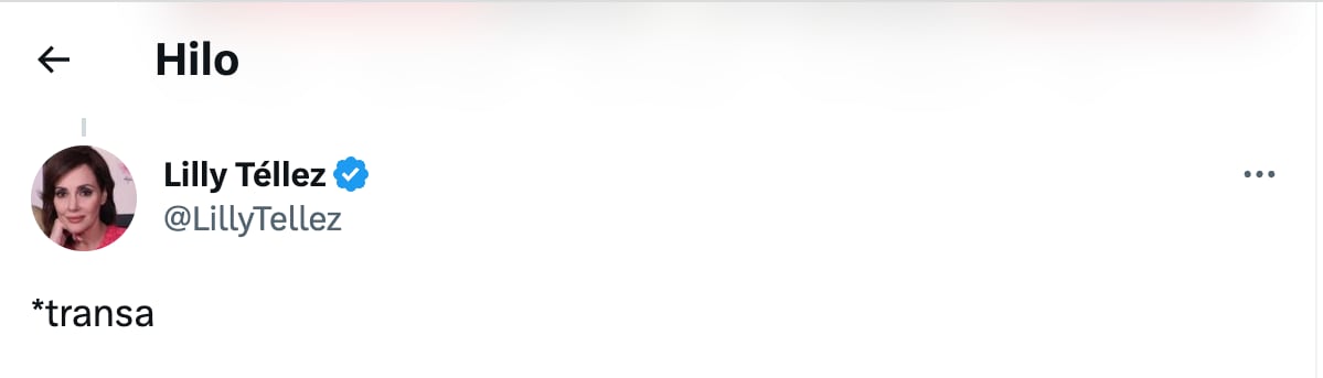 Lilly Téllez detectó un error en su mensaje