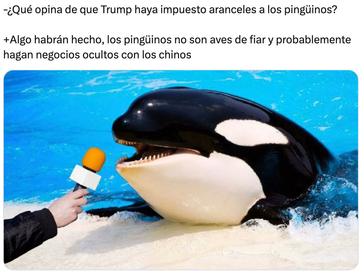 Los memes sobre los aranceles a pingüinos por Donald Trump