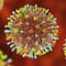 ¿Qué es el henipavirus? El nuevo virus en China que ya contagió a 35 personas