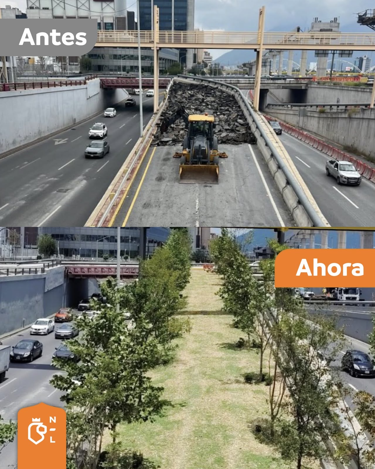 Bosques Ciudadanos planta más de 1.1 millones de árboles en Nuevo León.