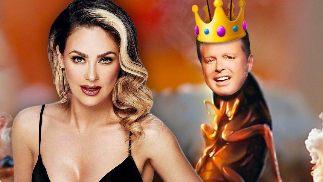 Aracely Arámbula le dice "rey cucaracho" a Luis Miguel