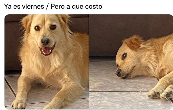 Meme de "Viernes pero a qué costo"