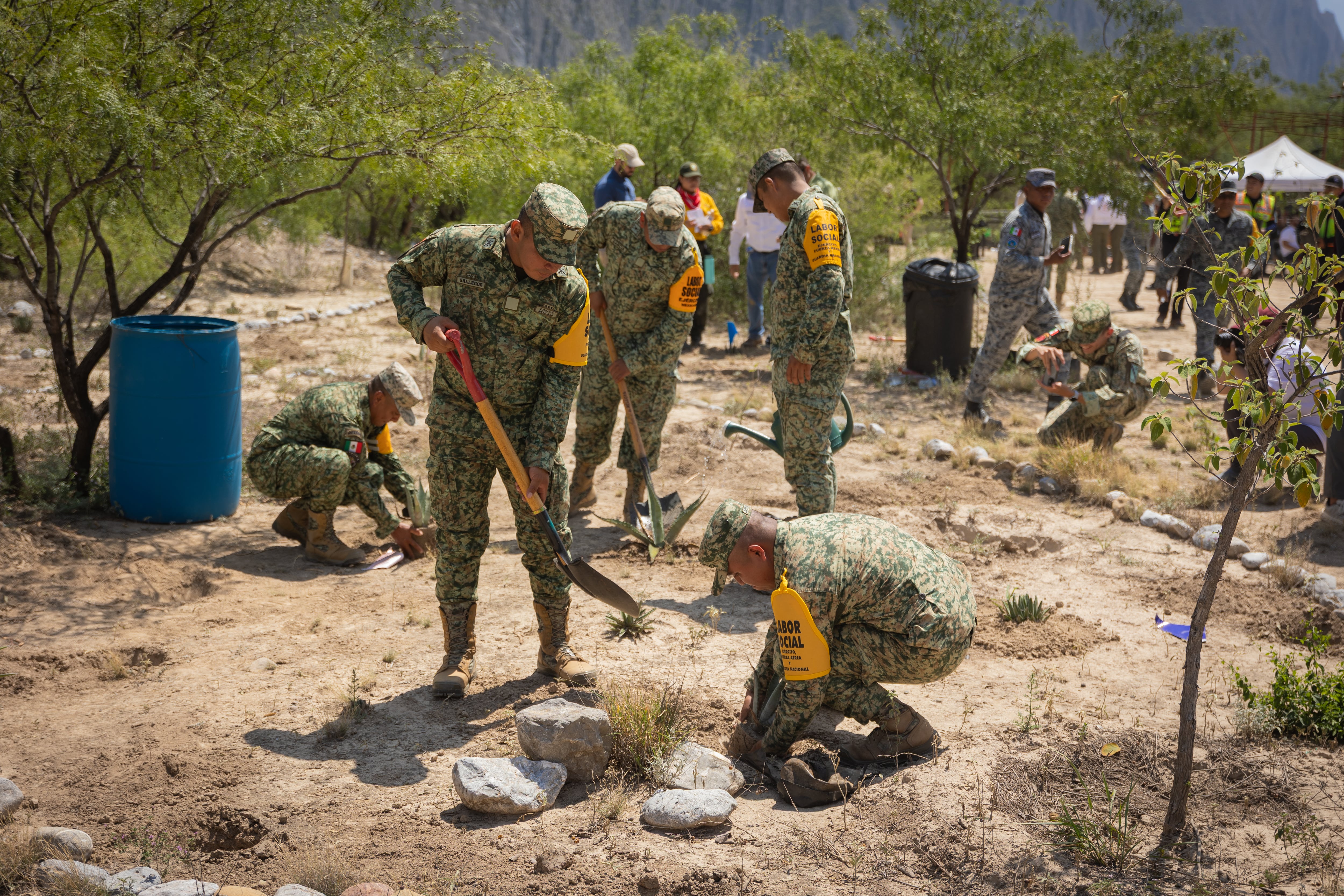 Nuevo León planta más de 2 mil 500 árboles en Jornada Nacional de Reforestación