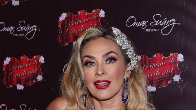 Aracely Arámbula, actriz.
