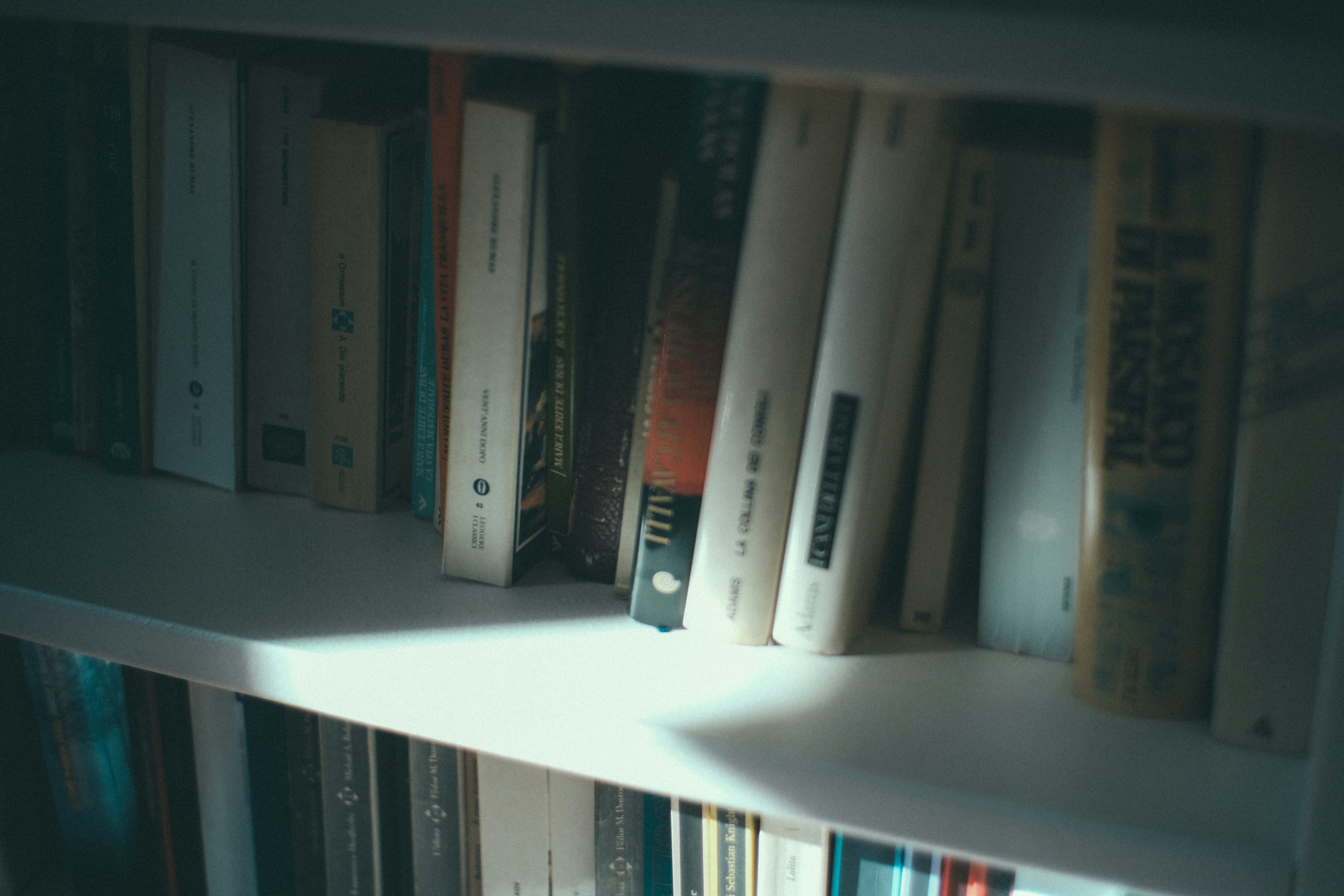 Día Internacional del Booktuber